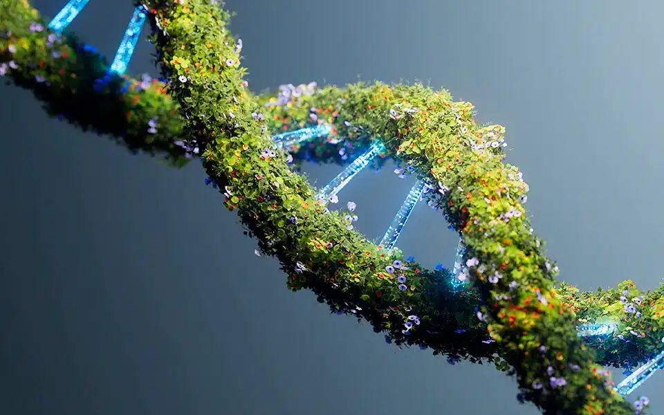 unternehmensentwicklung-nachhaltigkeit-umweltschutz nachhaltige Unternehmensentwicklung mit ACG-Ingenieure